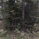 Review photo of Noma Lake Campground by TyAnn J., October 11, 2017
