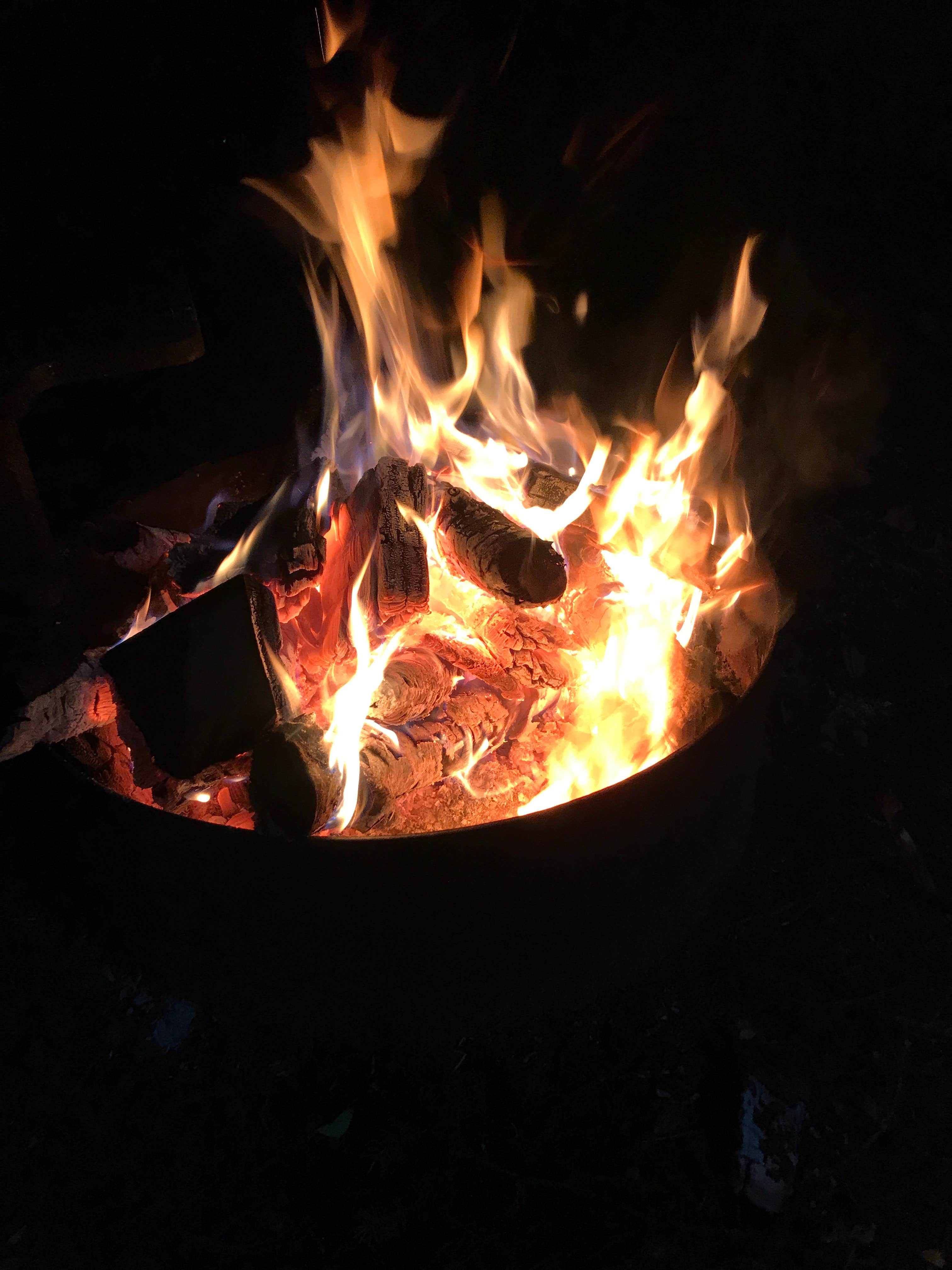 Camper submitted image from Noma Lake Campground - 4