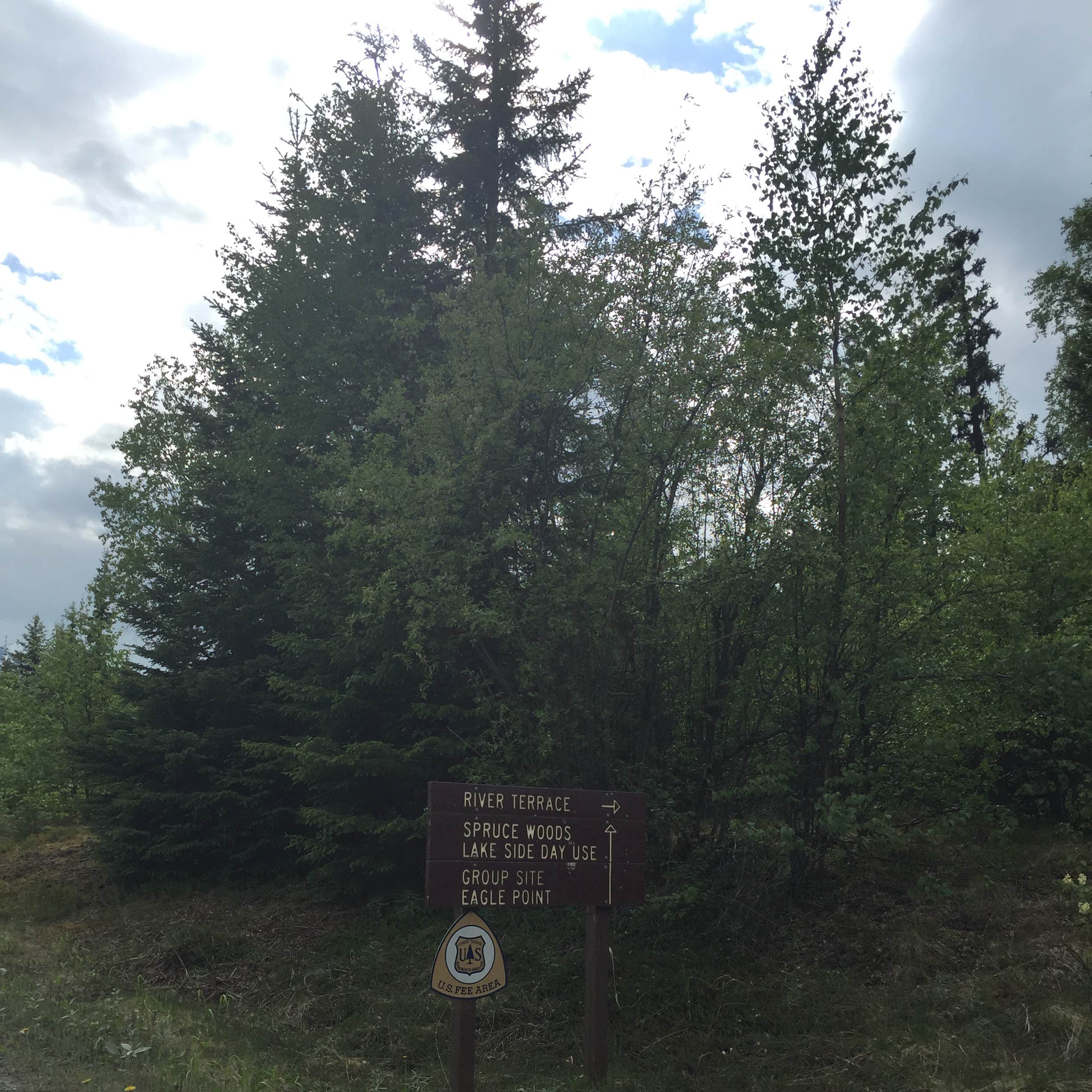 Trail River Camping | The Dyrt