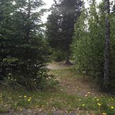 Review photo of Trail River by Joshua L., July 1, 2016