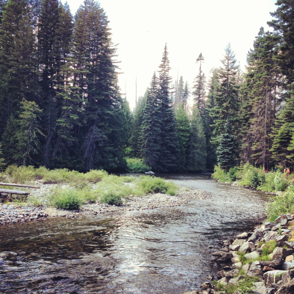 Camper submitted image from Ida Creek Campground - 2