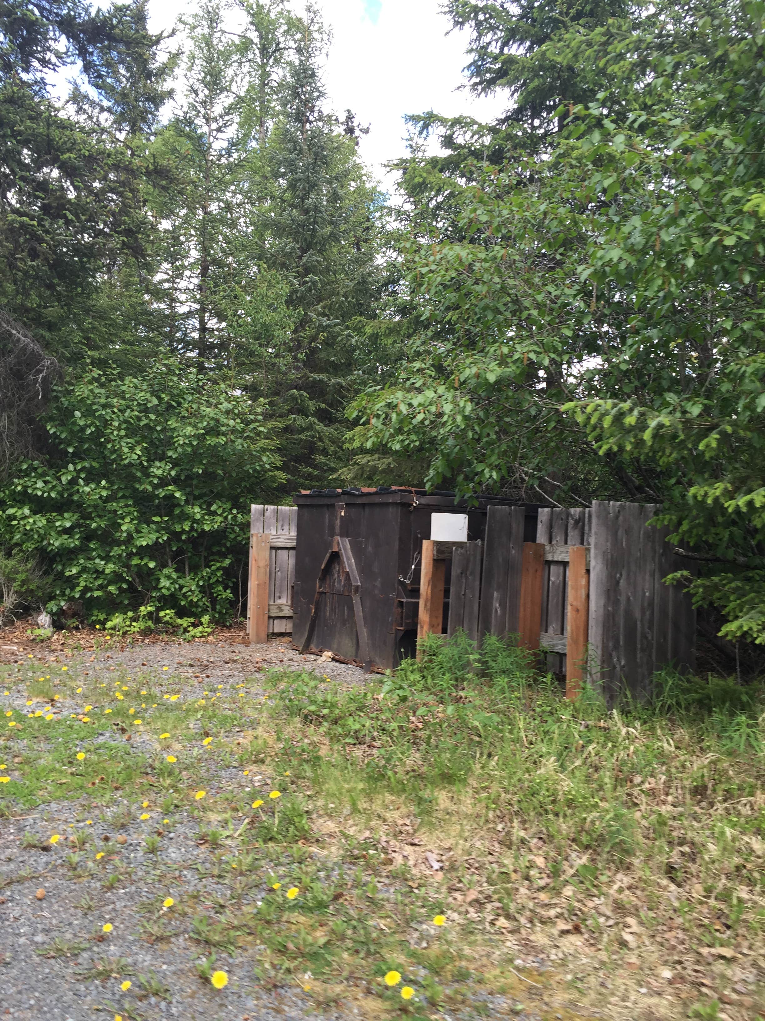 Camper submitted image from Trail River - 3