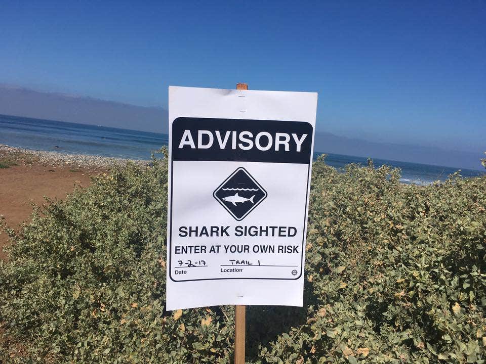 Camper submitted image from Bluffs Campground — San Onofre State Beach - 5