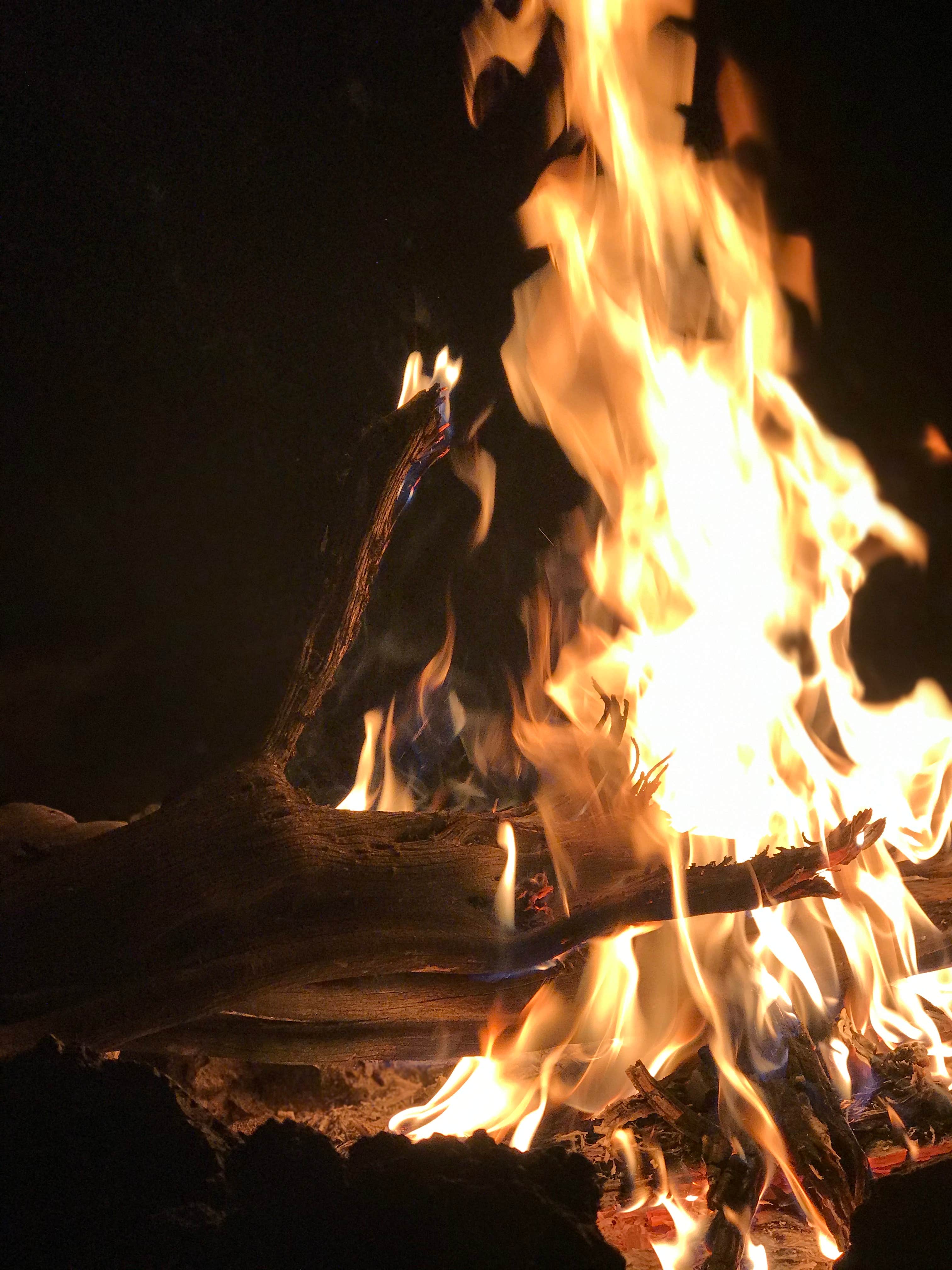 Camper submitted image from Oregon Badlands Dispersed - 3