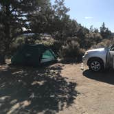 Review photo of Oregon Badlands Dispersed by Charyl B., June 1, 2020