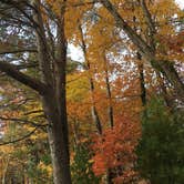 Review photo of Fort Mountain State Park Campground by B M., June 1, 2020