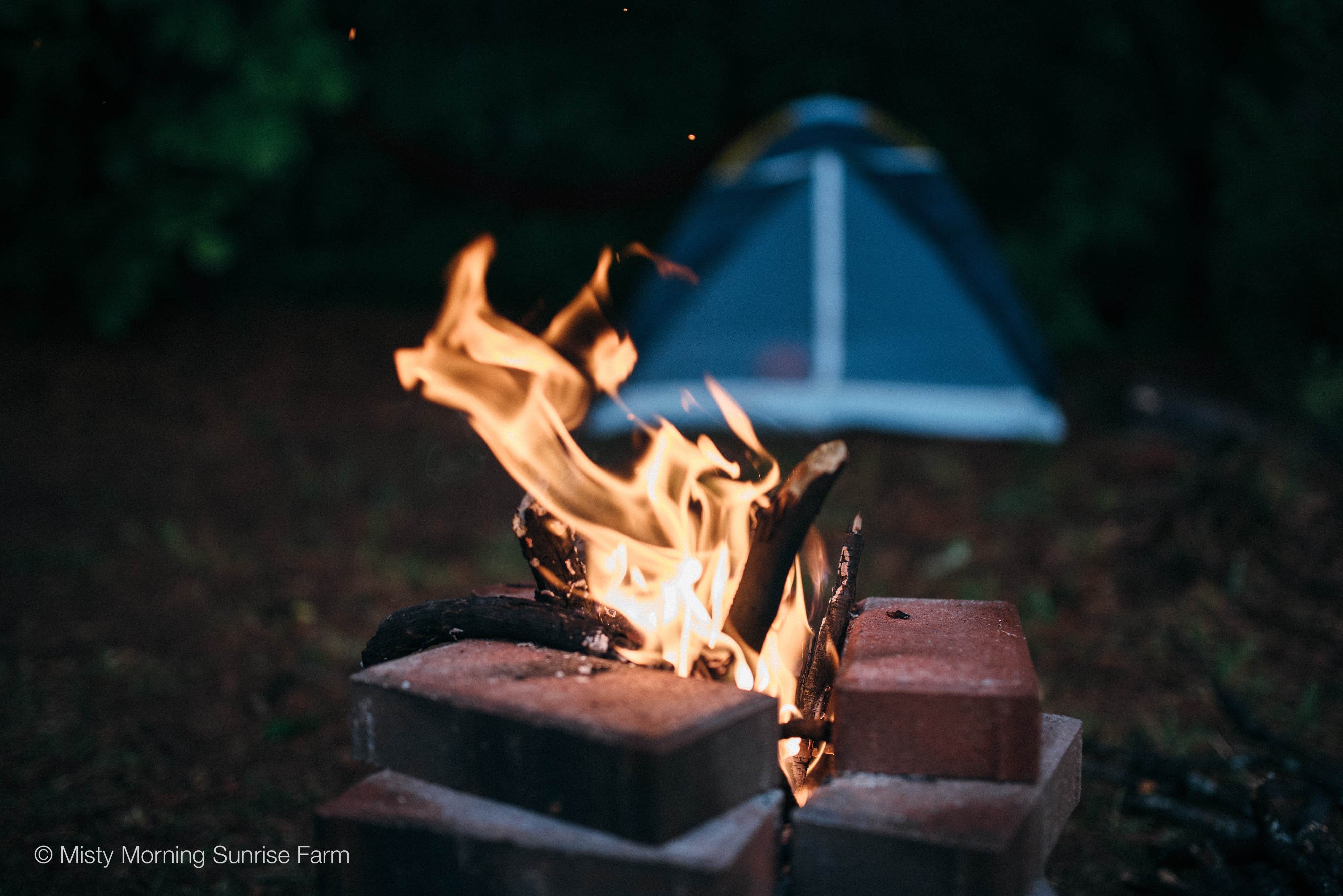 Camper submitted image from Misty Morning Sunrise Farm - Temporarily closed for camping - 4