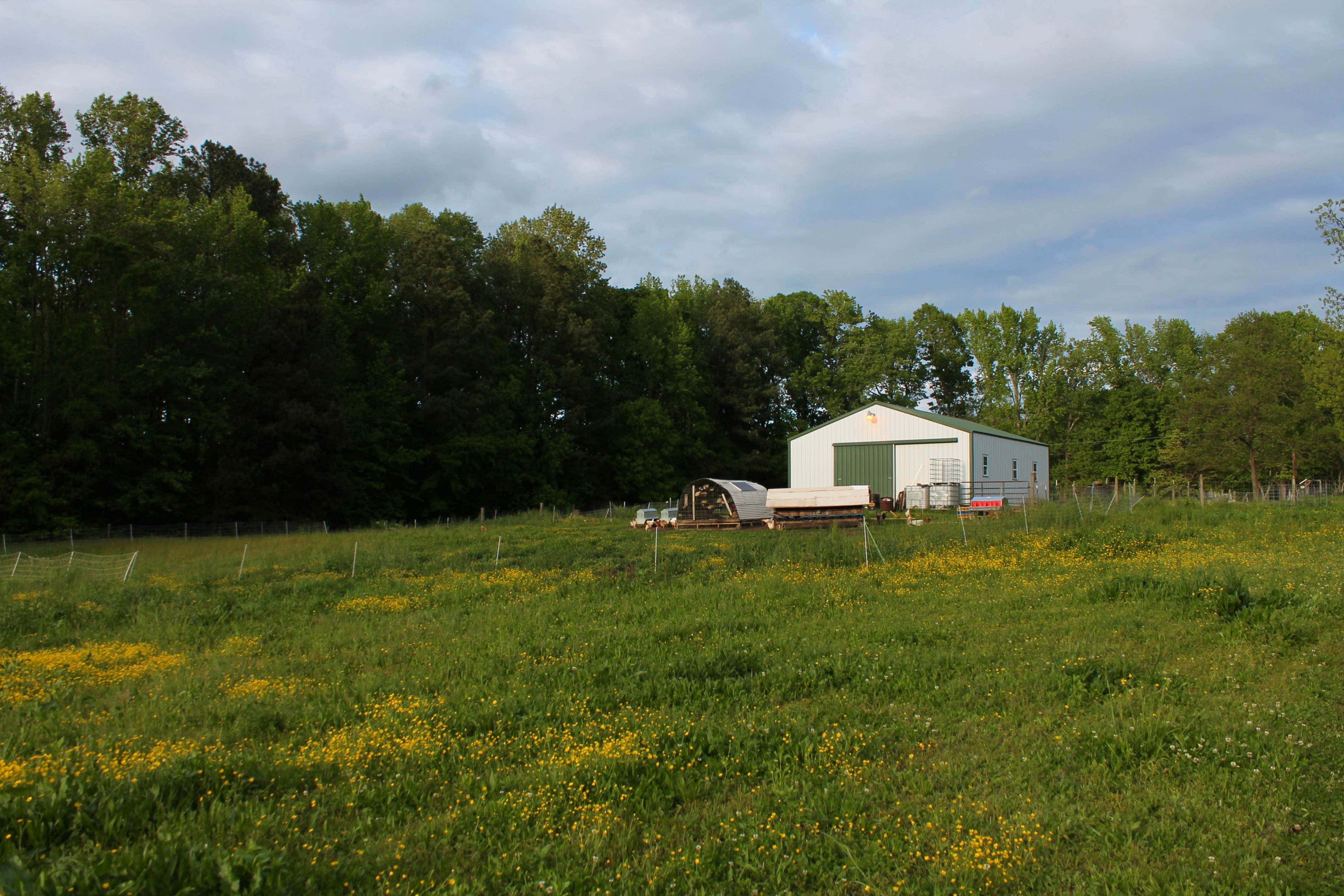 Camper submitted image from Misty Morning Sunrise Farm - Temporarily closed for camping - 1