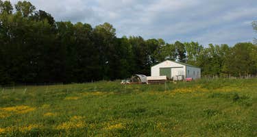 Misty Morning Sunrise Farm