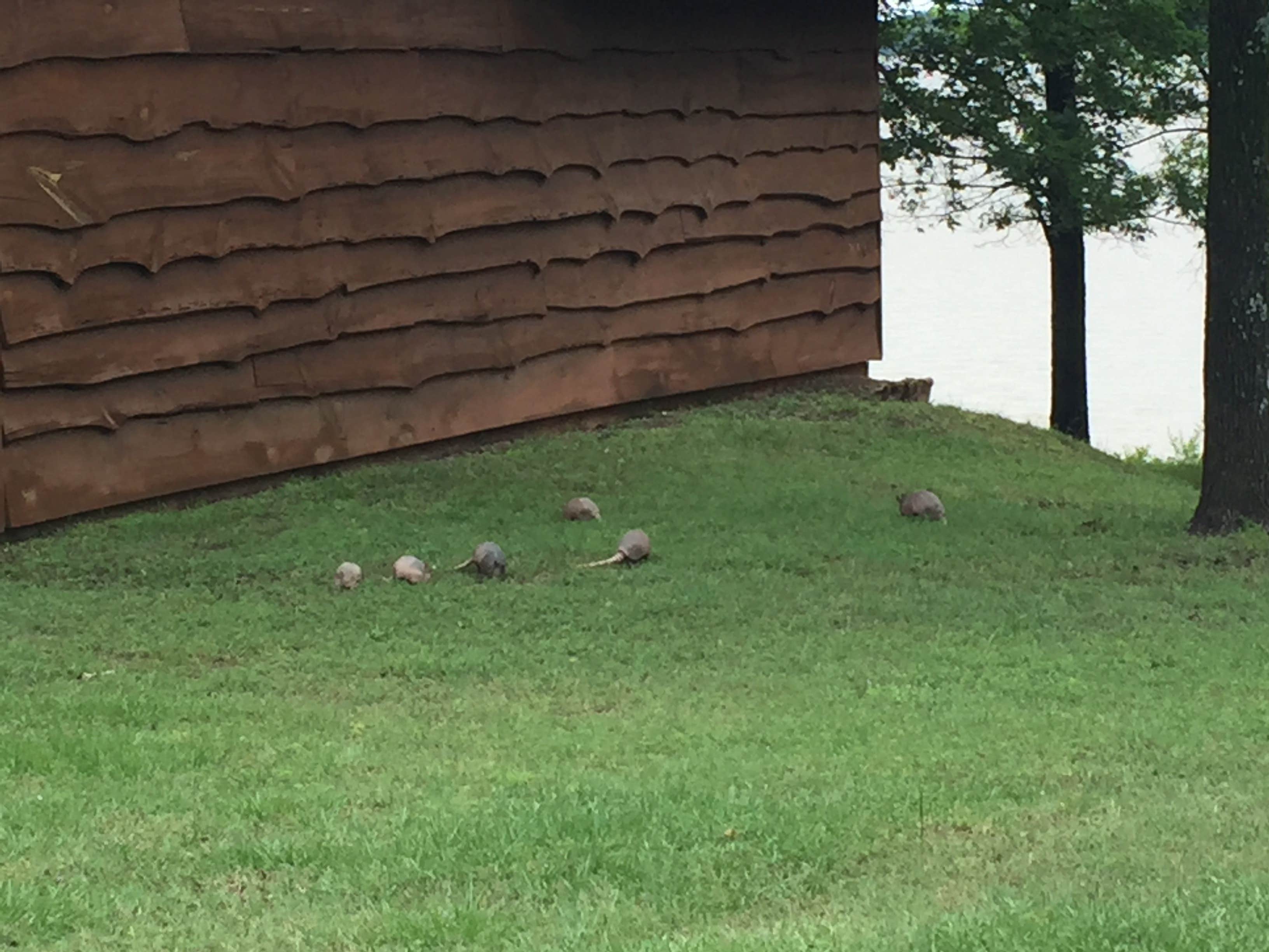 Camper-submitted photo at Hugo Lake Park near Atoka, OK