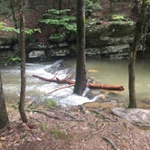 Review photo of Beavers Bend State Park Campground by Richard , June 2, 2019