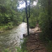 Review photo of Beavers Bend State Park Campground by Richard , June 2, 2019