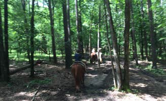 Richard's photo of camping with a horse at Beavers Bend State Park Campground near Wright Patman Lake