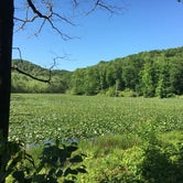Review photo of Zaleski State Forest by Renée C., June 2, 2020