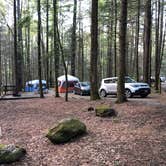 Review photo of Vogel State Park Campground by Sonyia W., June 2, 2020