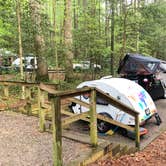 Review photo of Vogel State Park Campground by Sonyia W., June 2, 2020