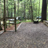 Review photo of Vogel State Park Campground by Sonyia W., June 2, 2020
