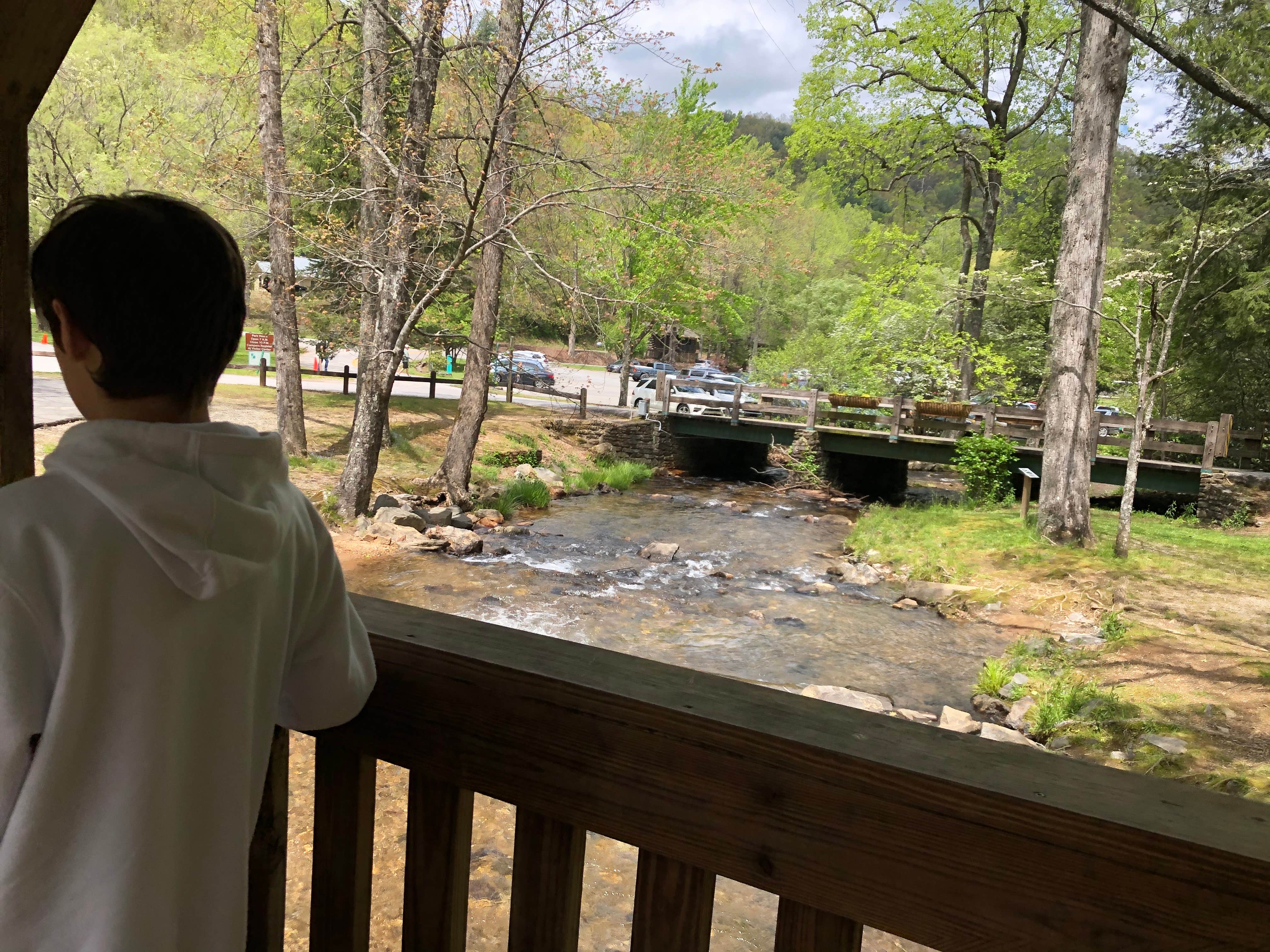 Camper-submitted photo at Vogel State Park Campground in Georgia