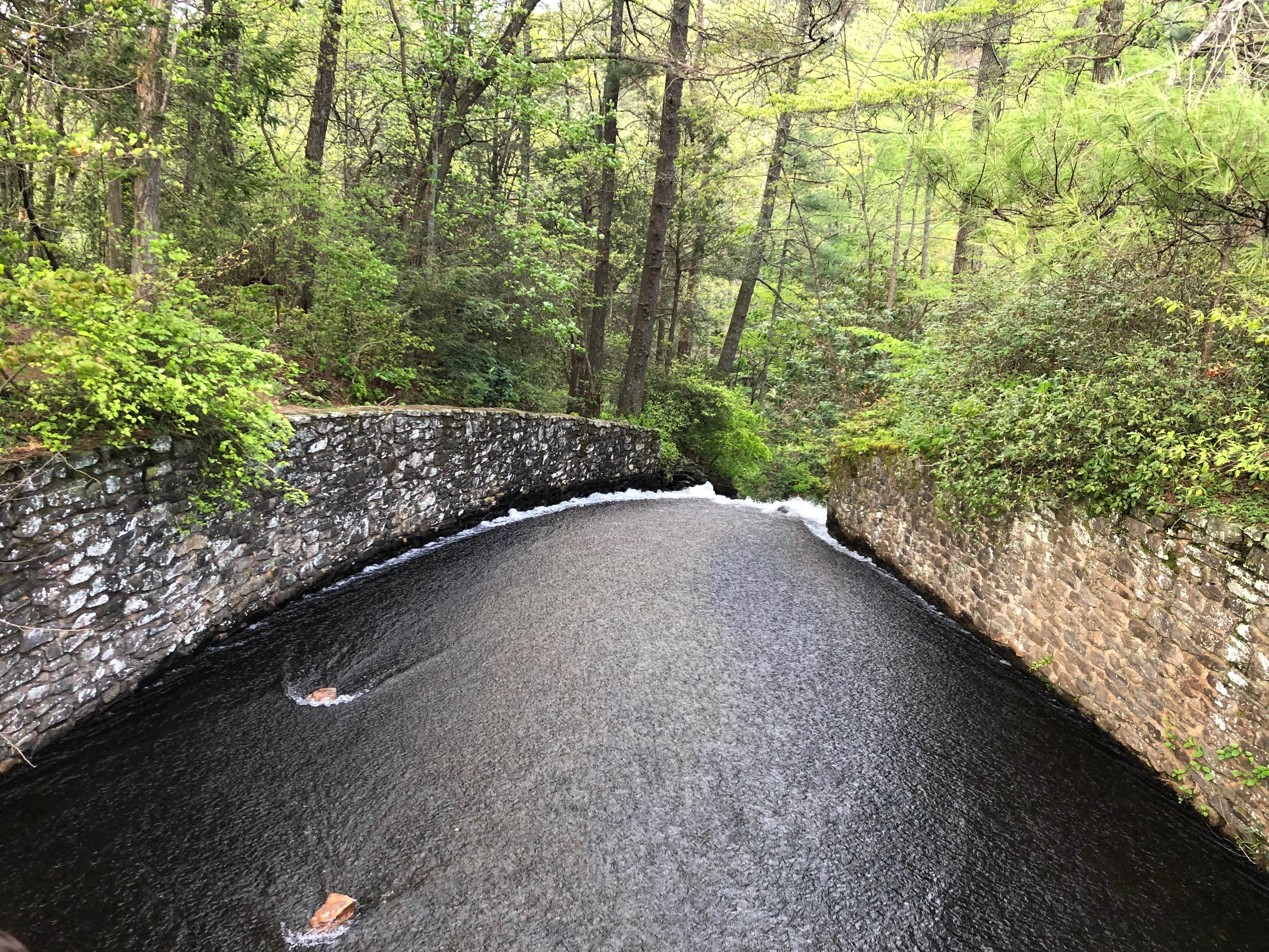 Camper-submitted photo at Vogel State Park Campground in Georgia