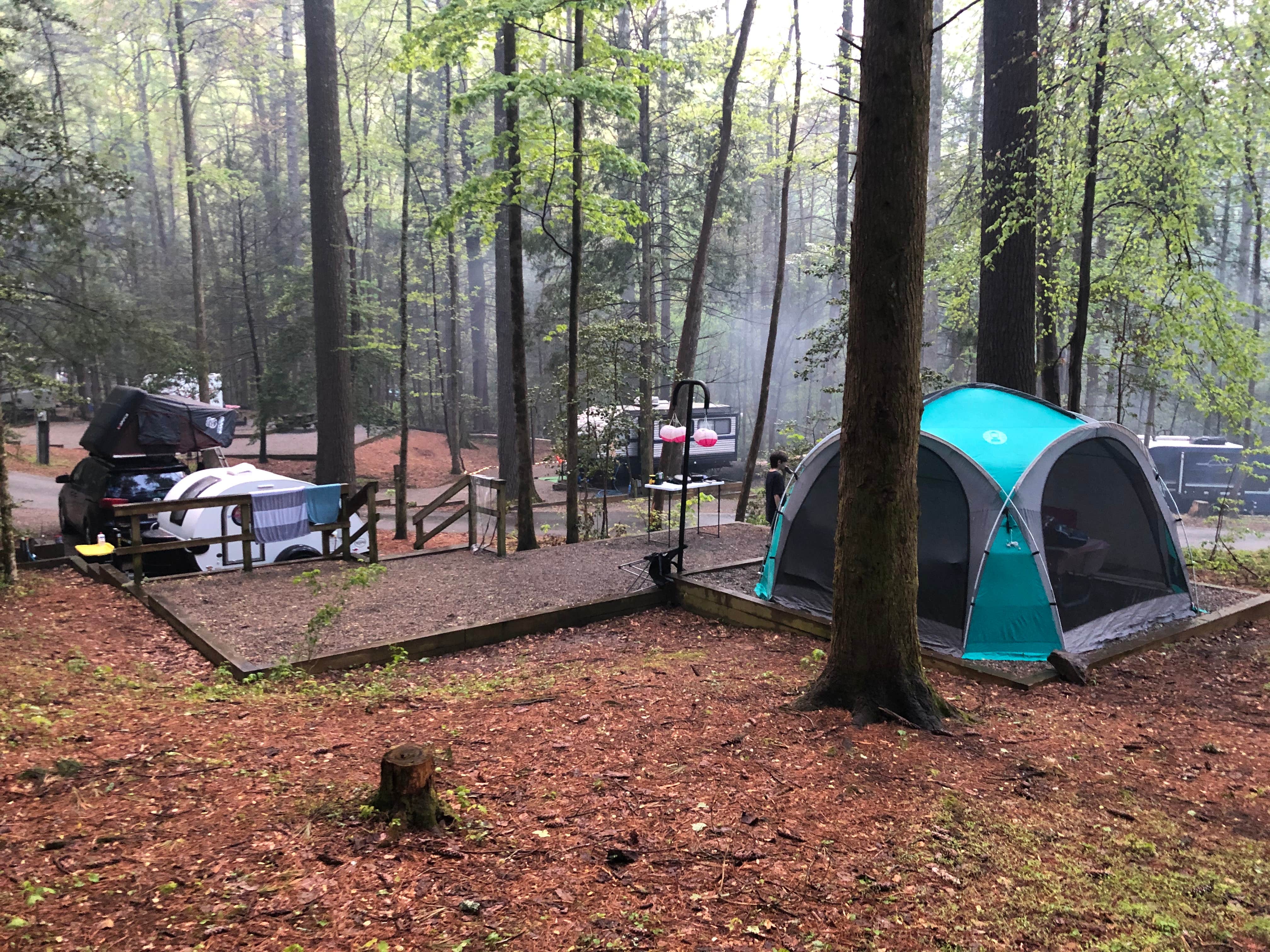 Sonyia W.'s photo at Vogel State Park Campground near Chattahoochee-Oconee National Forests