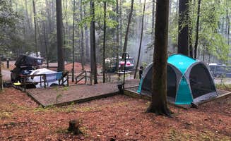 Sonyia W.'s photo at Vogel State Park Campground near Chattahoochee-Oconee National Forests