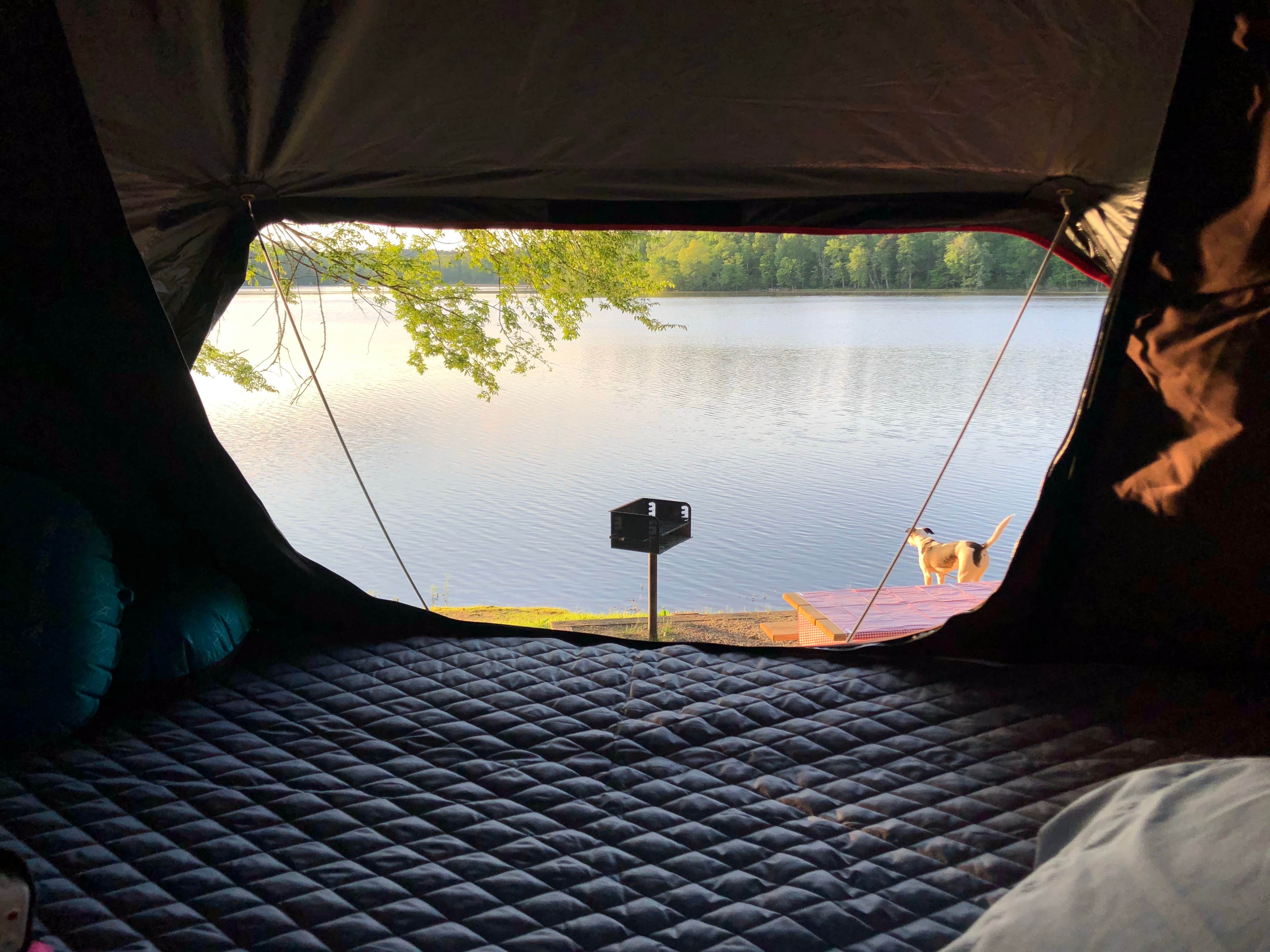 Sonyia W.'s photo at Hamburg State Park Campground near Mitchell, GA