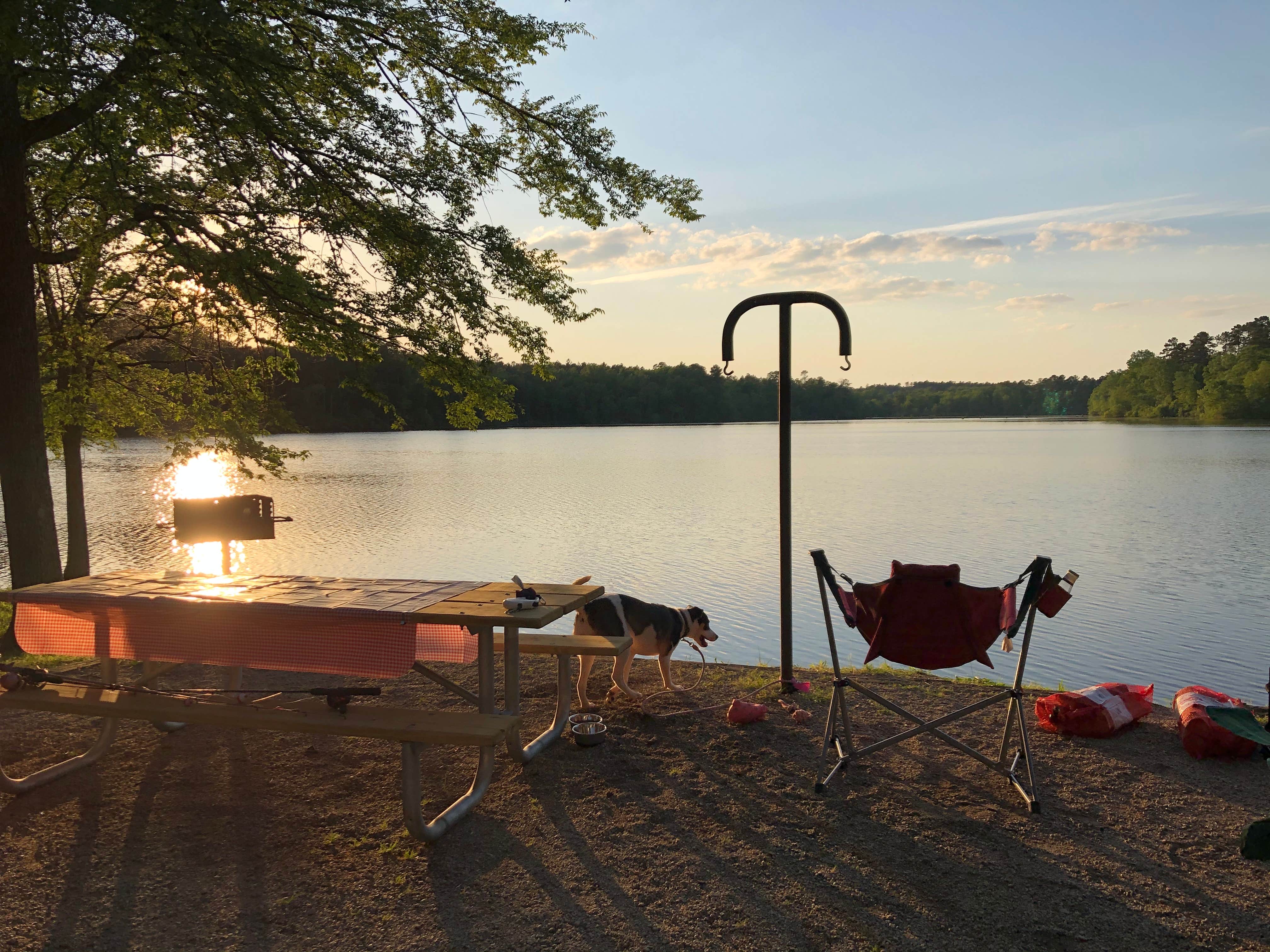 Sonyia W.'s photo of camping with pets at Hamburg State Park Campground near Greensboro, GA
