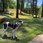 Review photo of Hamburg State Park Campground by Sonyia W., June 2, 2020