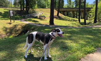 Sunny W.'s photo of camping with pets at Hamburg State Park Campground near Louisville, GA