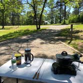 Review photo of Hamburg State Park Campground by Sonyia W., June 2, 2020