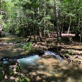 Review photo of Unicoi State Park & Lodge by Sonyia W., June 2, 2020