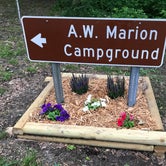 Review photo of A.W. Marion State Park Campground by Shannon G., June 2, 2020