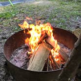 Review photo of A.W. Marion State Park Campground by Shannon G., June 2, 2020