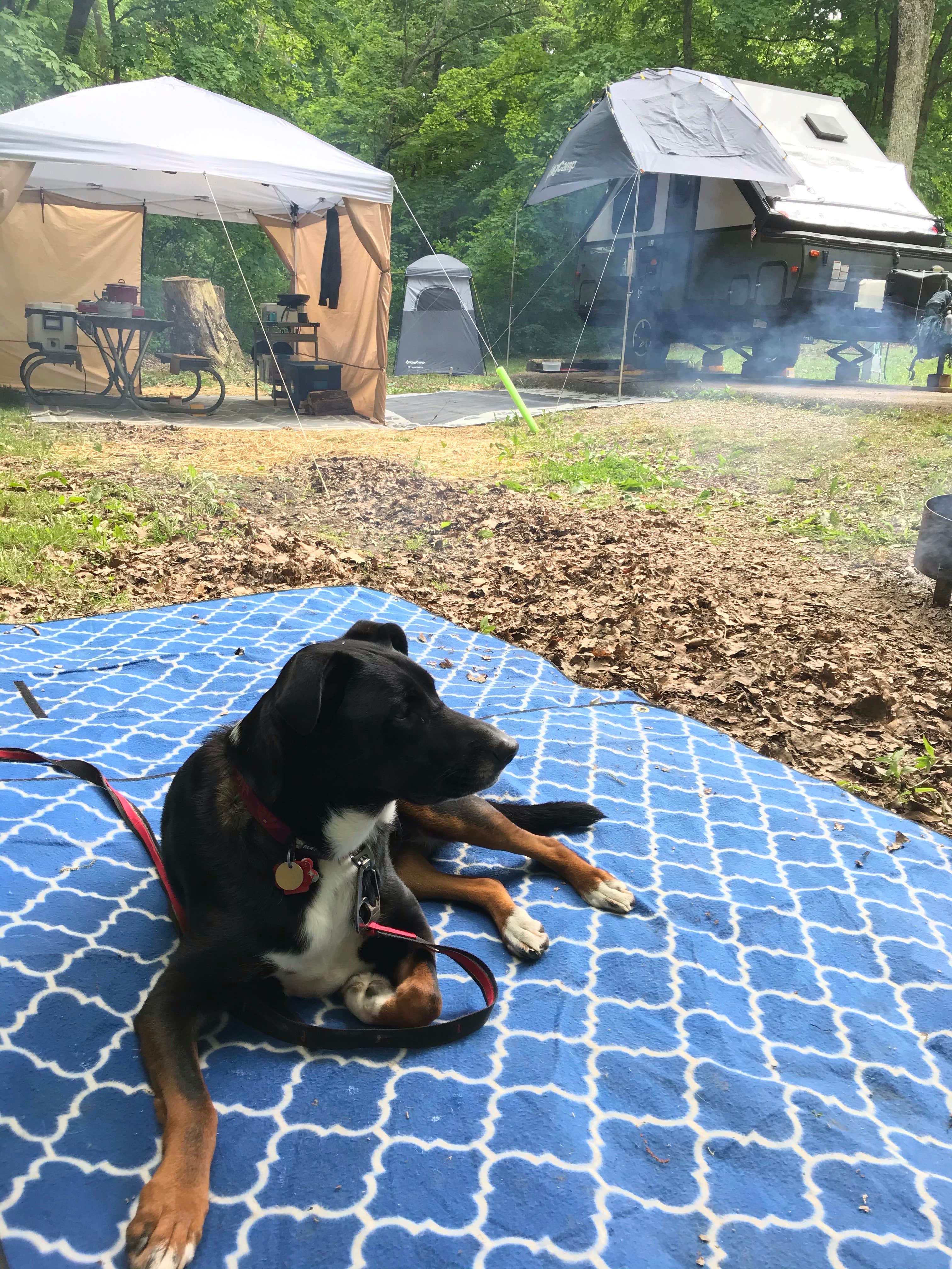 Shannon G.'s photo of camping with pets at A.W. Marion State Park Campground near Mount Sterling, OH