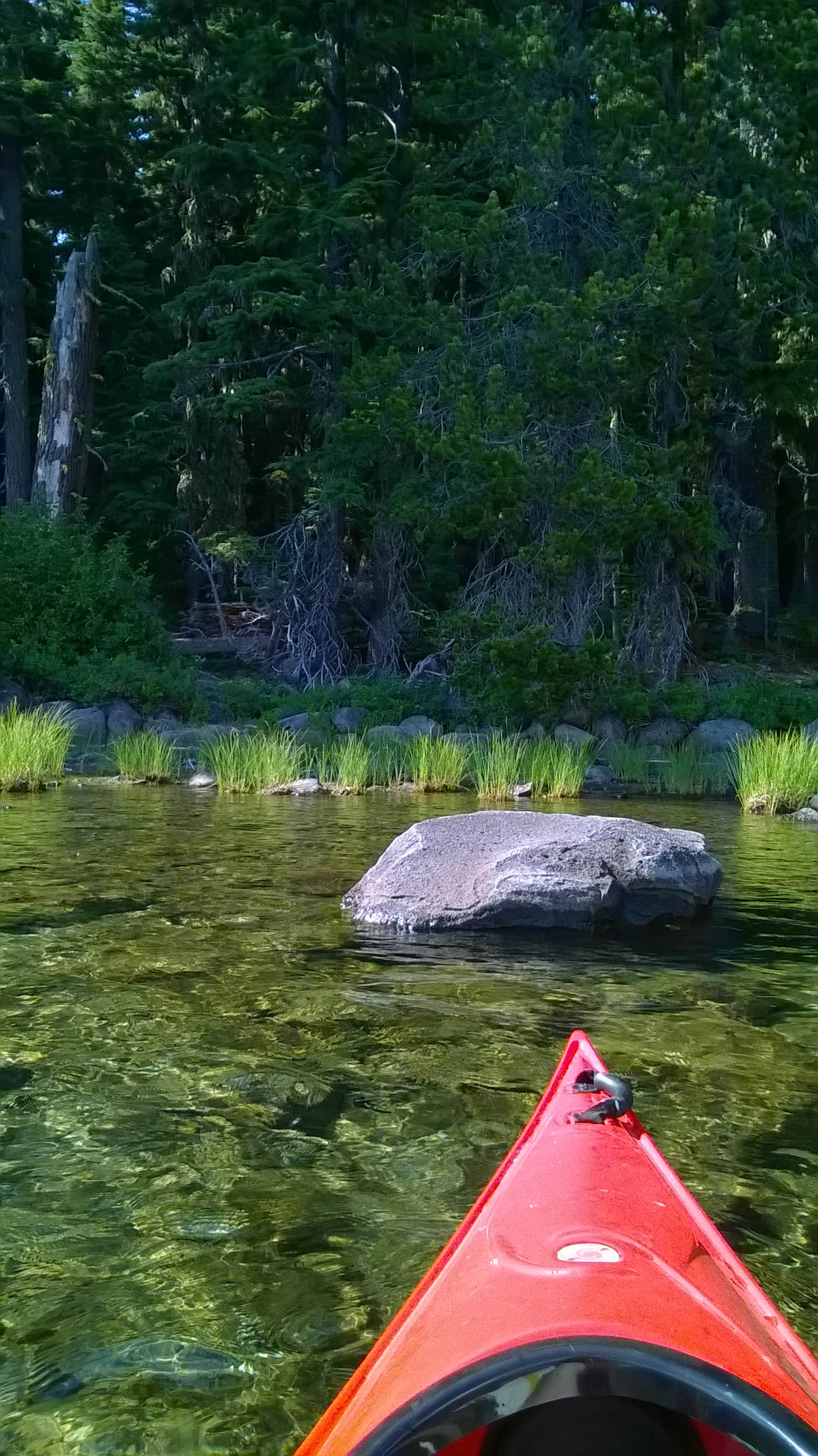 Camper submitted image from North Waldo Lake - 5