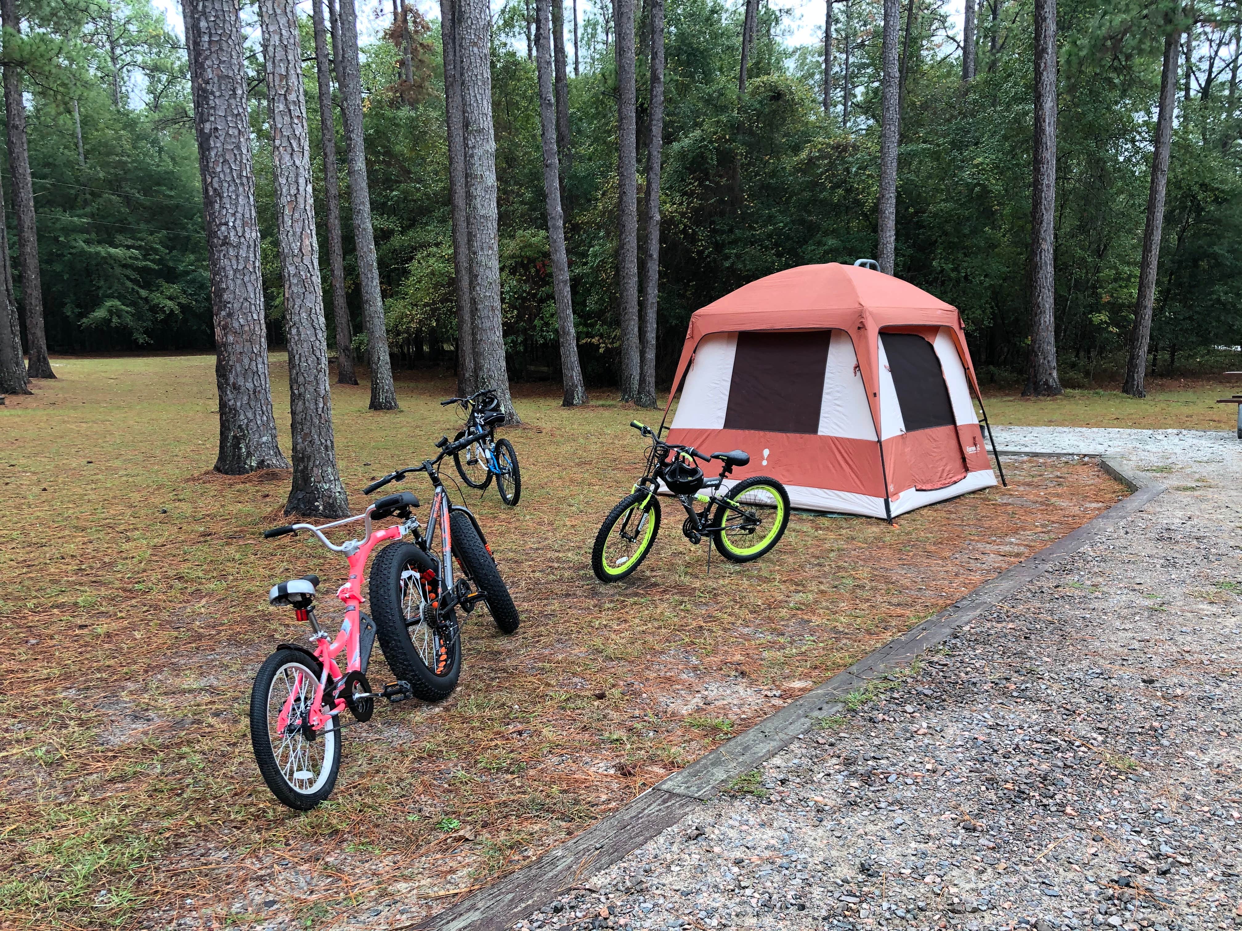 Sonyia W.'s photo at Magnolia Springs State Park Campground near Statesboro, GA