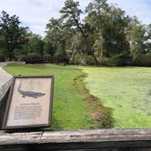 Review photo of Magnolia Springs State Park Campground by Sonyia W., June 2, 2020