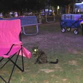 Review photo of Raccoon Mountain Caverns and Campground by Sonyia W., June 2, 2020