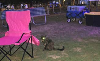 Sonyia W.'s photo of camping with pets at Raccoon Mountain Caverns and Campground near Chattanooga, TN