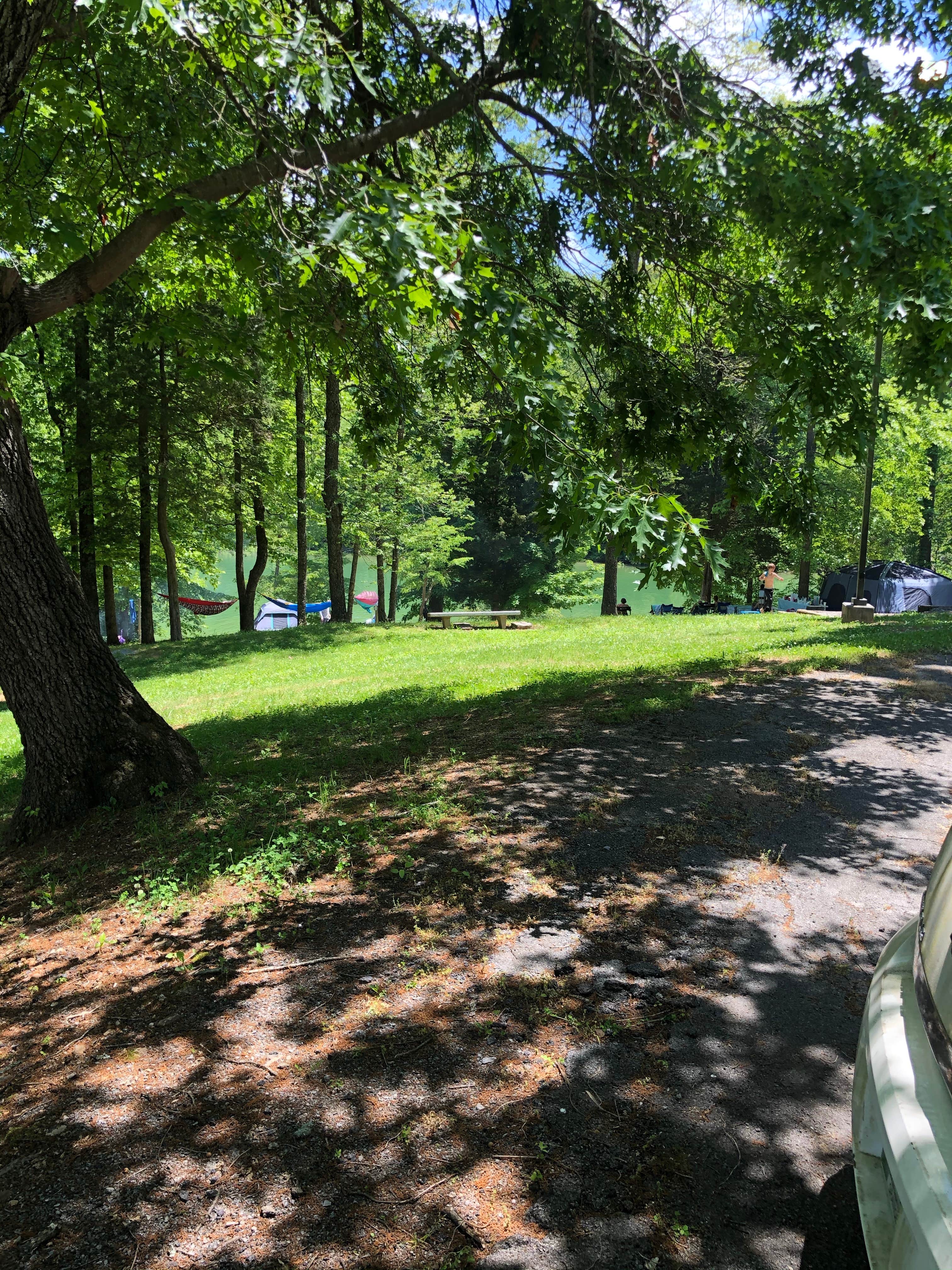 Camper submitted image from Cherokee Dam Campground — Tennessee Valley Authority (TVA) - 4