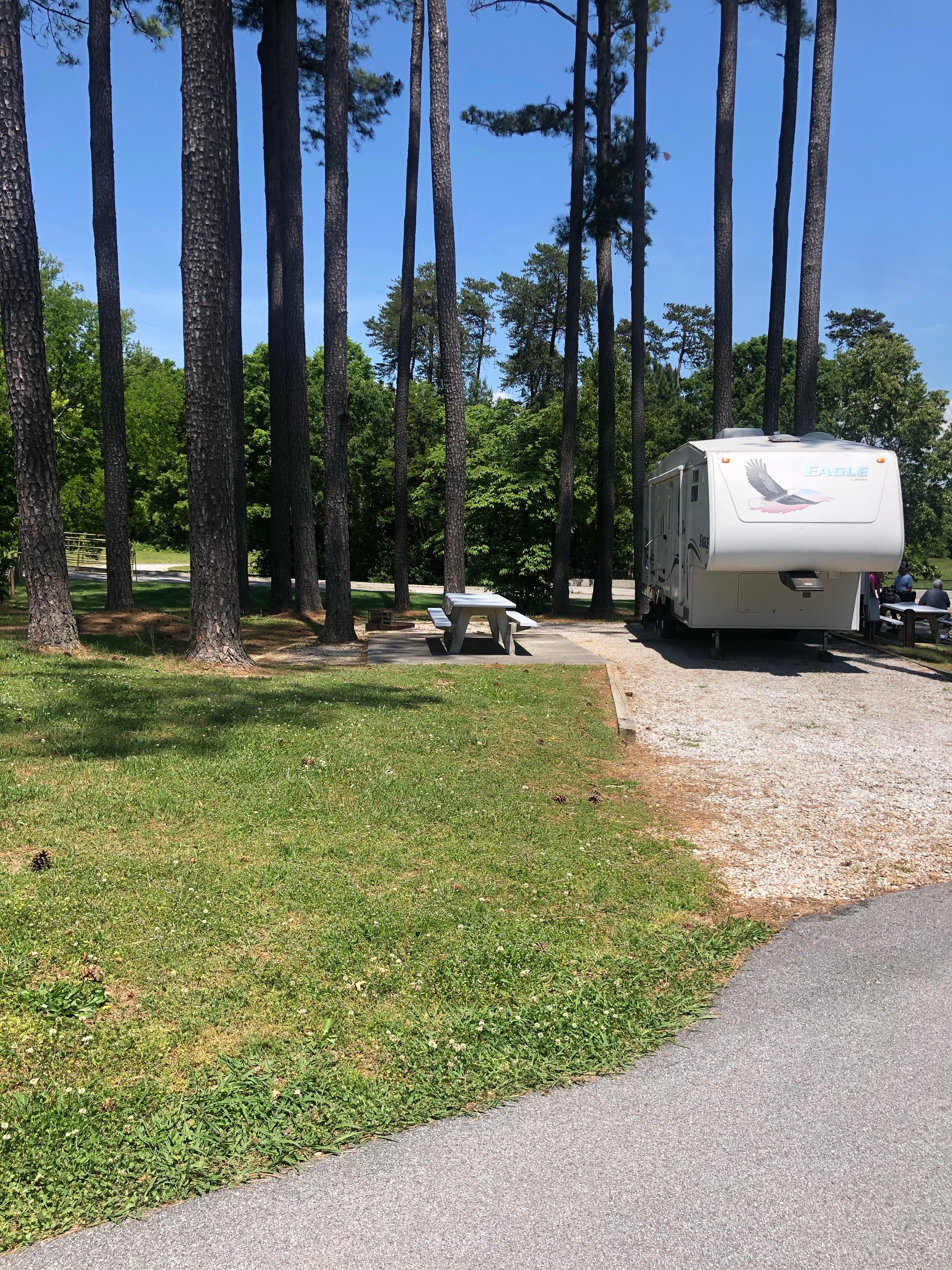 Camper submitted image from Cherokee Dam Campground — Tennessee Valley Authority (TVA) - 4