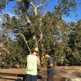 Review photo of O'Neill Regional Park by Chanel C., October 11, 2017