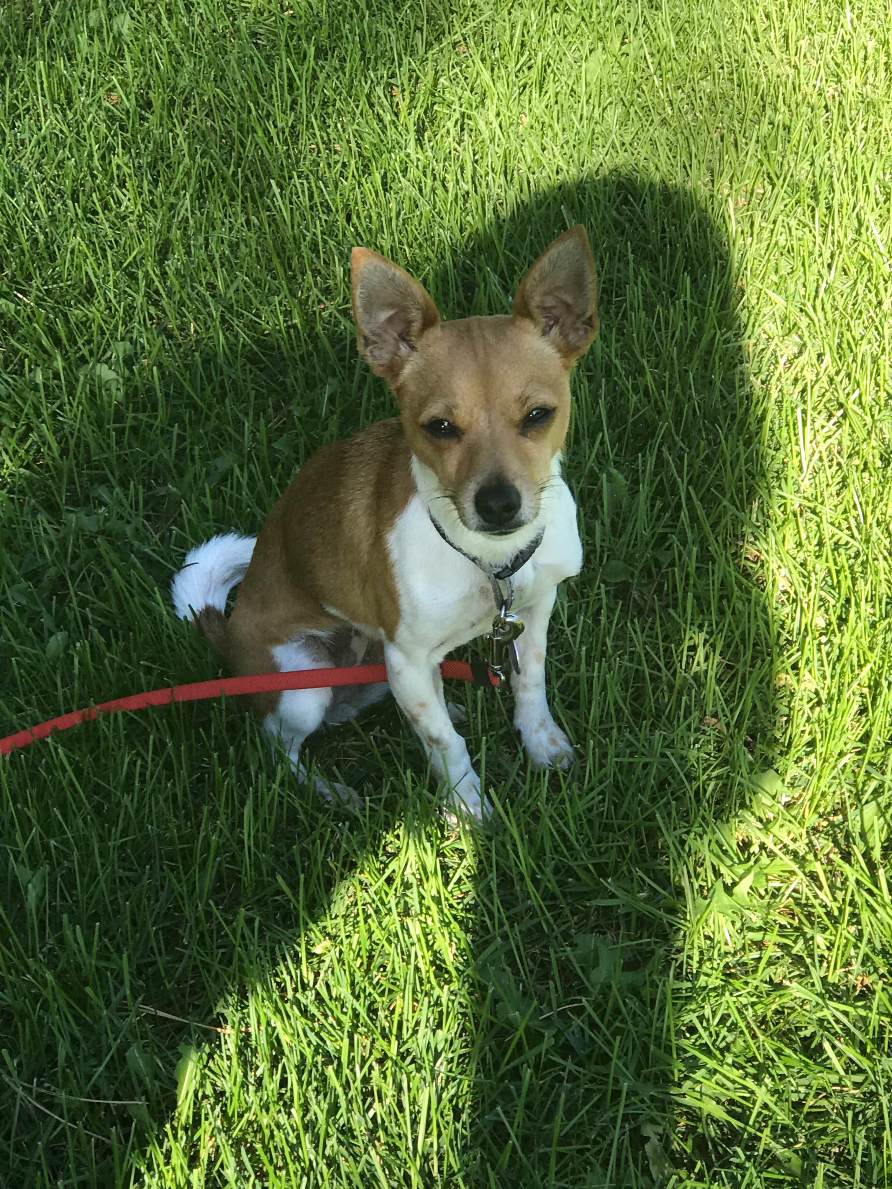 Shaina H.'s photo of camping with pets at Conconully State Park Campground near Oroville, WA