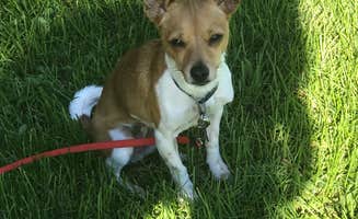 Shaina H.'s photo of camping with pets at Conconully State Park Campground in Washington