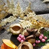 Review photo of New York City North/Newburgh KOA by Jonah S., October 12, 2017