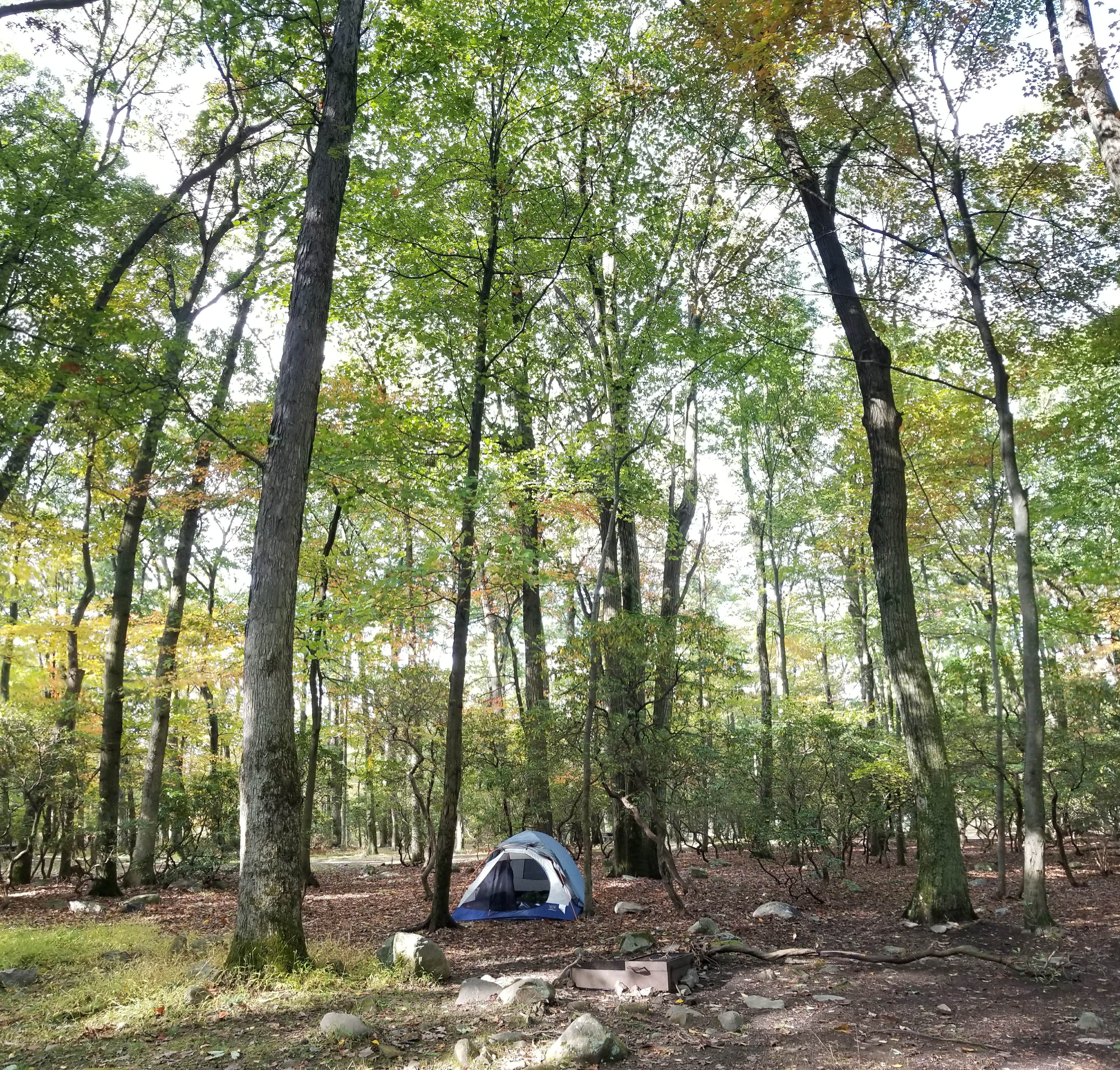 Jonah S.'s photo at Beaver Pond Campground — Harriman State Park near Wanaque, NJ