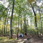 Review photo of New York City North/Newburgh KOA by Jonah S., October 12, 2017