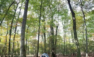 Jonah S.'s photo at Beaver Pond Campground — Harriman State Park near New York, NY