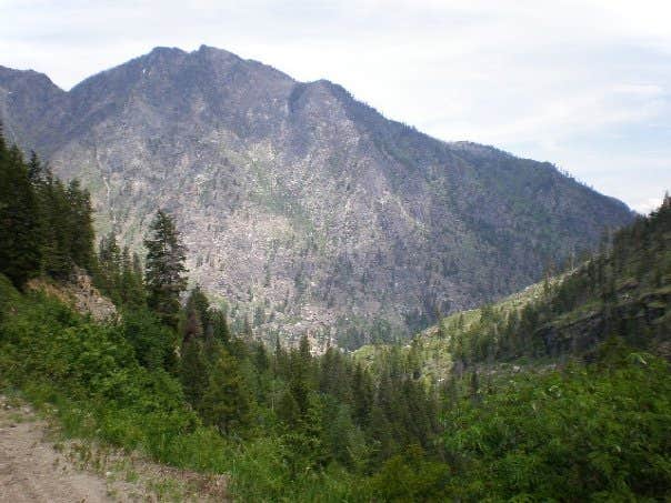 Camper submitted image from Bridge Creek Campground - 2