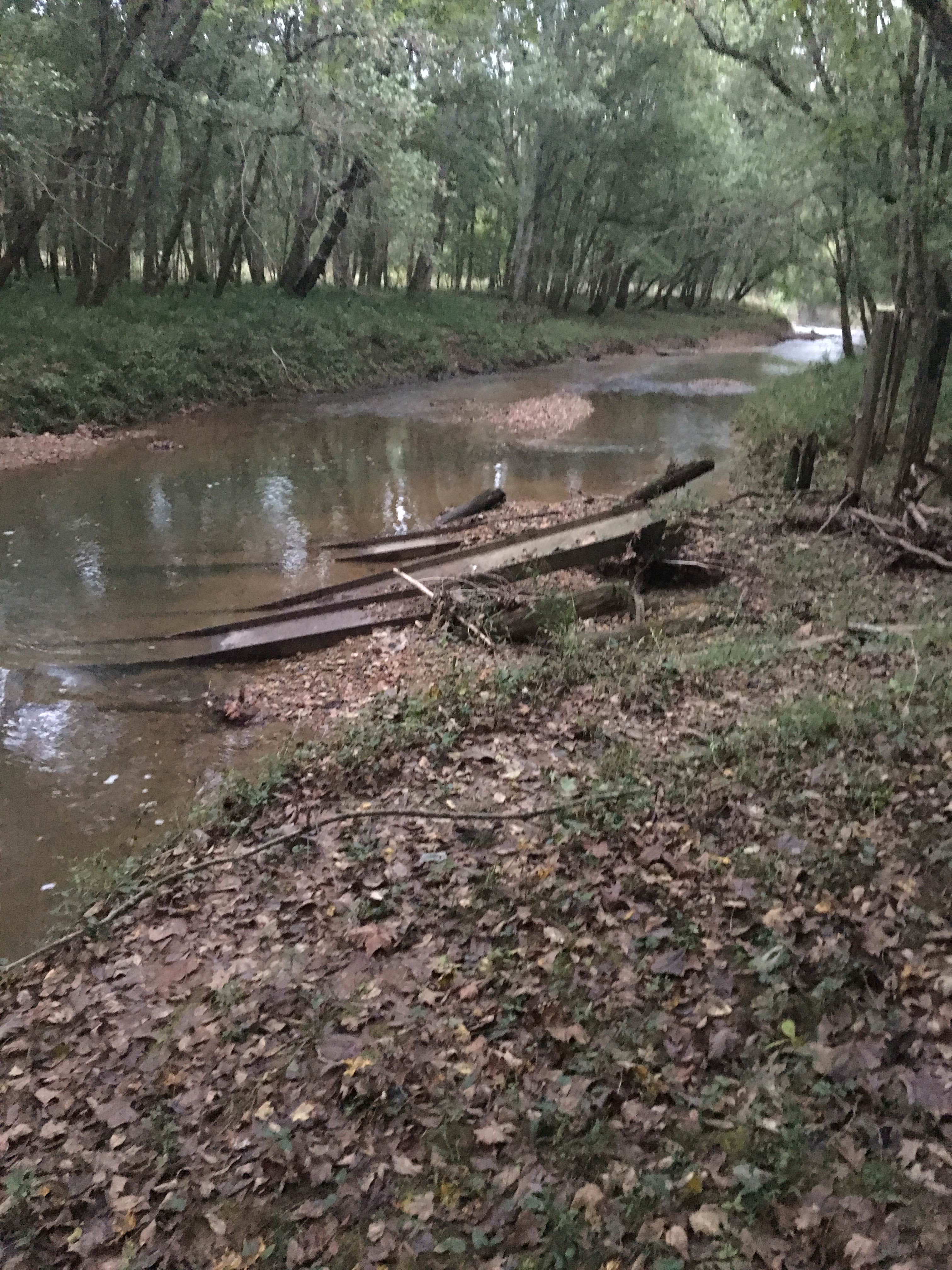 Camper submitted image from Fletchers Fork/Eagles Rest Military - Fort Campbell - 1